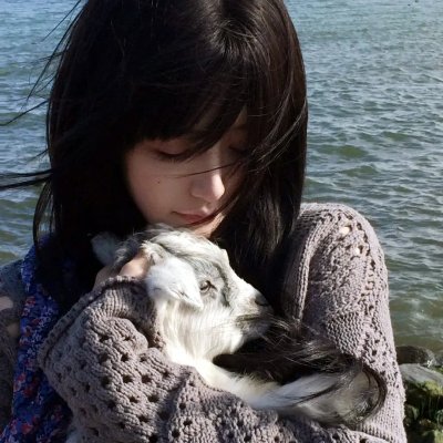 哈莱姆的郁金香